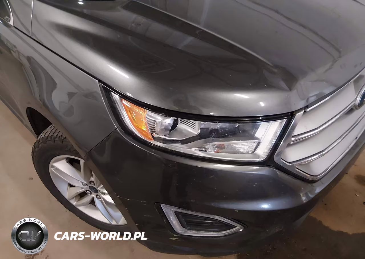 2018 Ford Edge Sel VIN:2FMPK4J91JBC07893 - 6