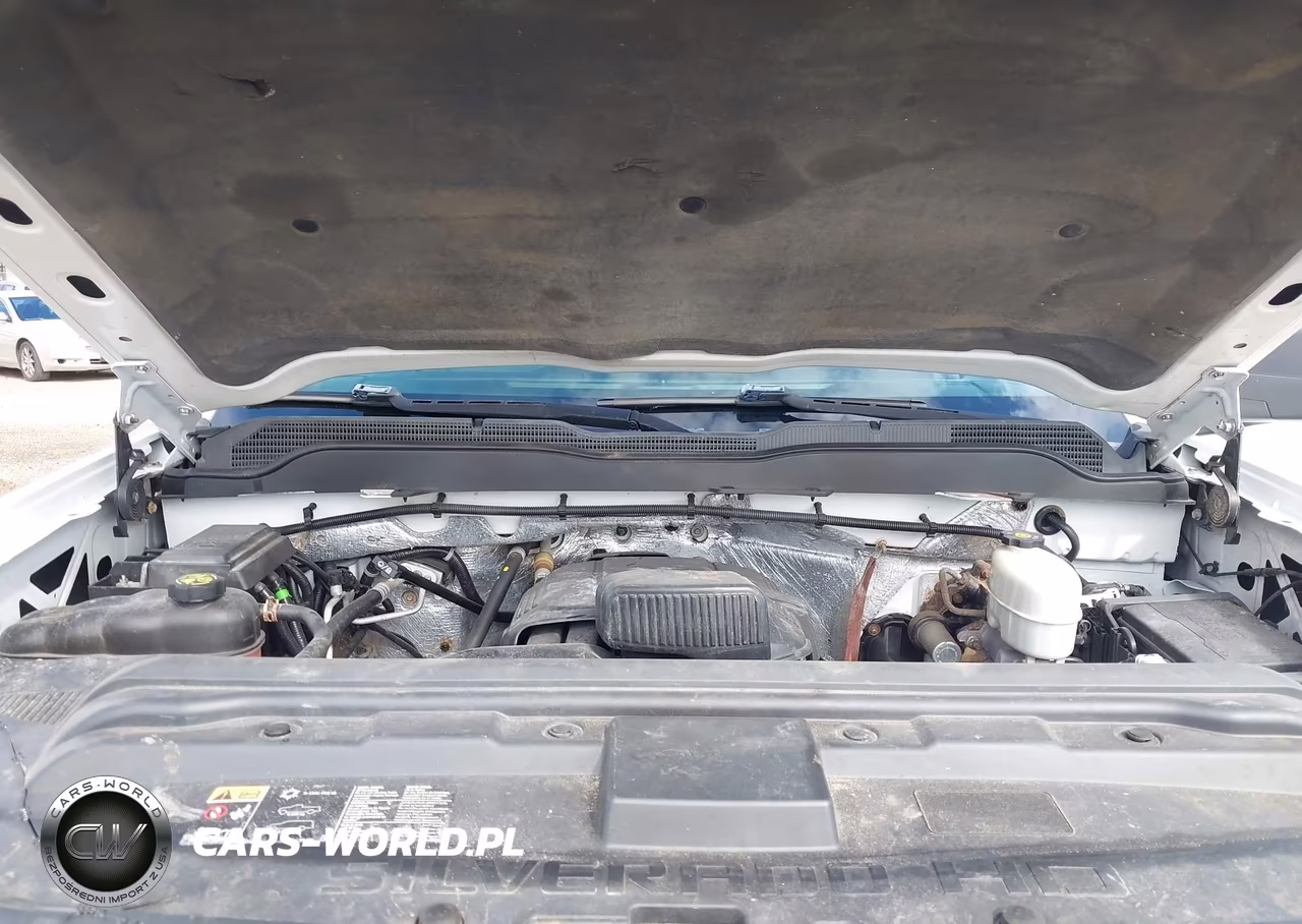 2016 Chevrolet Silverado 2500Hd Wt VIN:1GC2KUEG8GZ193309 - 10