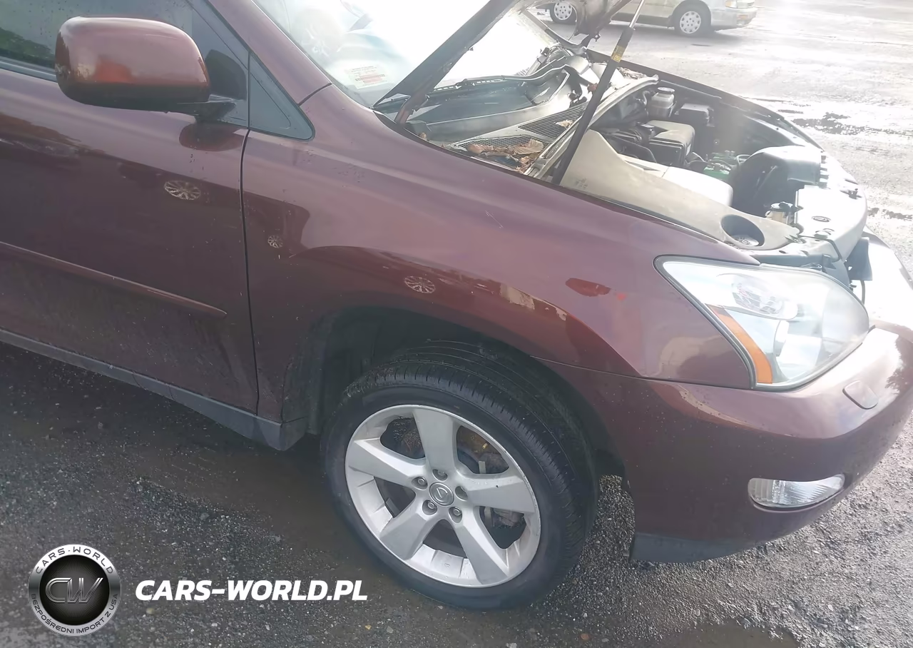 2008 Lexus Rx 350 VIN:JTJHK31U282044658 - 6