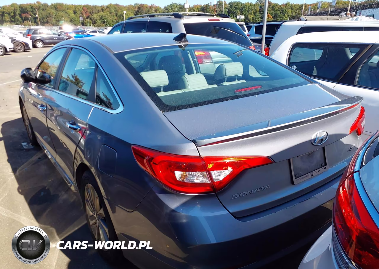 2016 Hyundai Sonata Sport VIN:5NPE34AF1GH379529 - 19