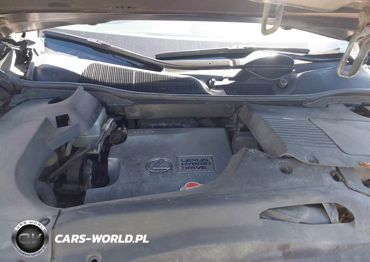 2013 Lexus Rx 450H VIN:JTJBC1BA4D2058129 - 10