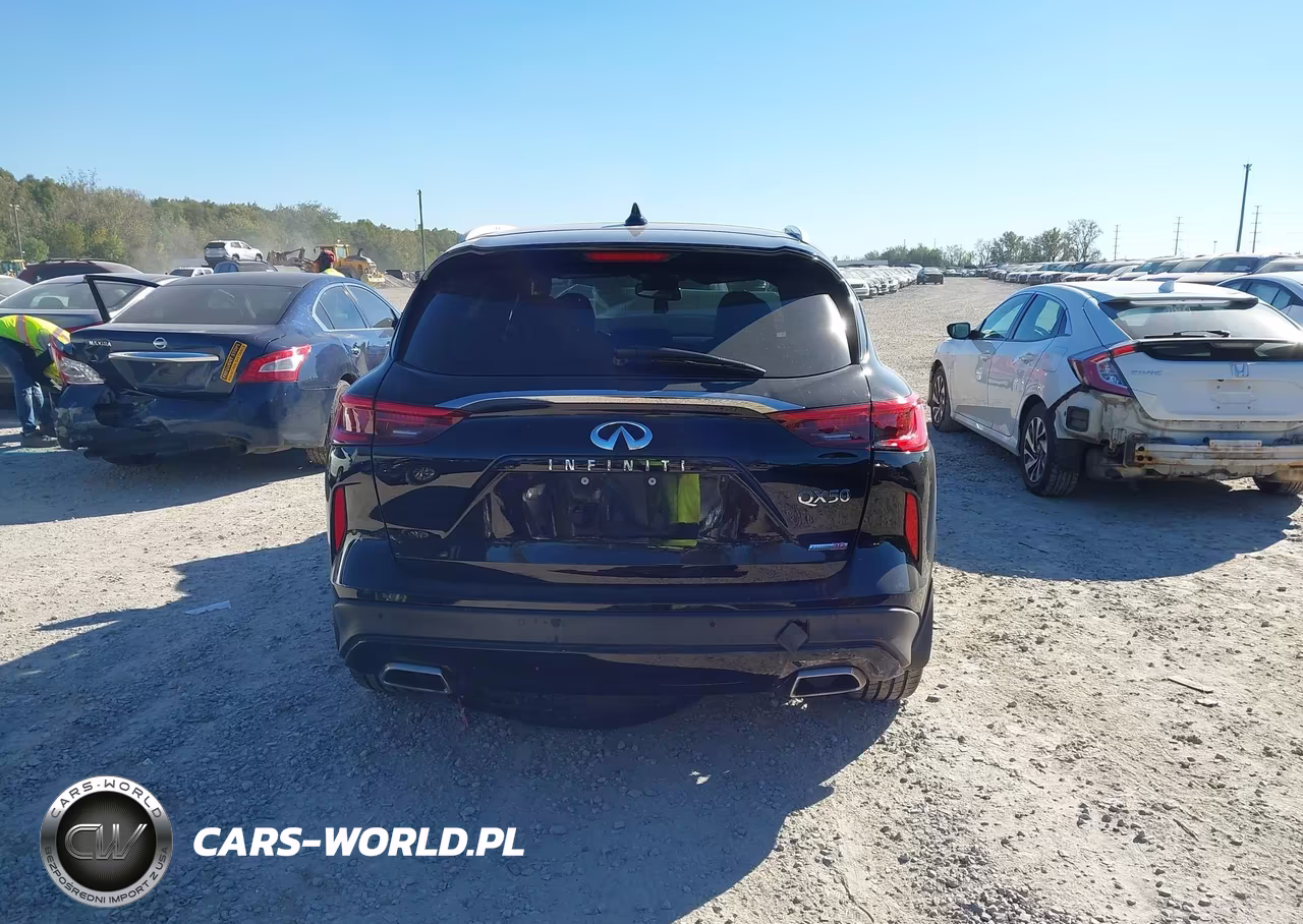 INFINITI QX50 PURE VIN:3PCAJ5M10LF119142 - 17
