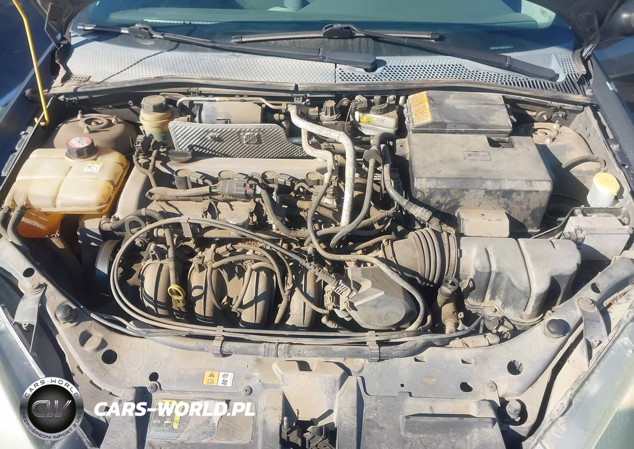 2004 Ford Focus Se VIN:1FAHP34Z54W156214 - 10
