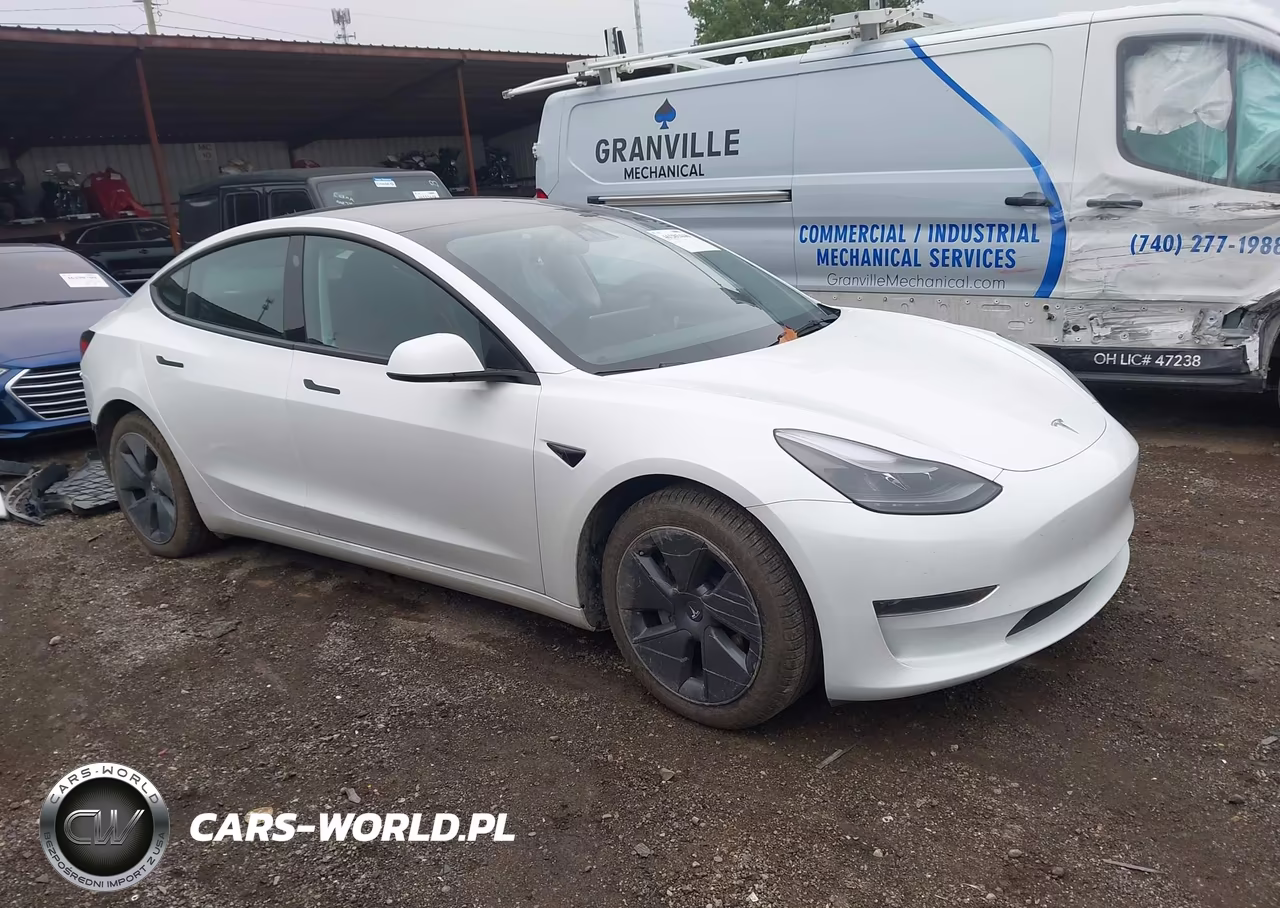 2023 Tesla Model 3 Rear-Wheel Drive