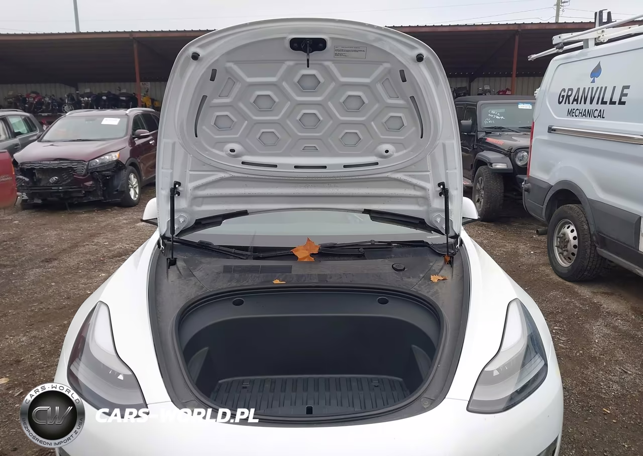 2023 Tesla Model 3 Rear-Wheel Drive VIN:5YJ3E1EA8PF606275 - 10