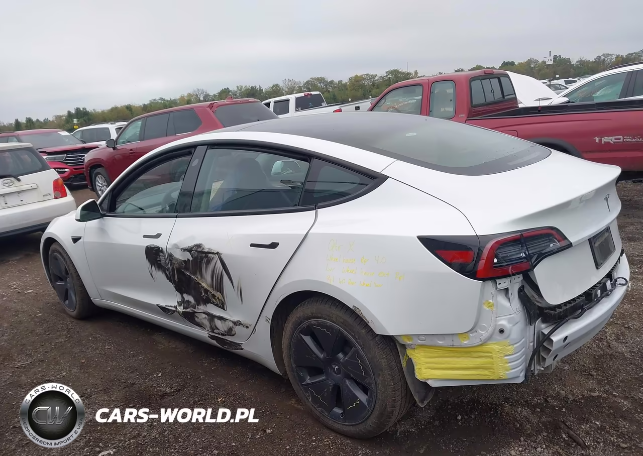 2023 Tesla Model 3 Rear-Wheel Drive VIN:5YJ3E1EA8PF606275 - 15