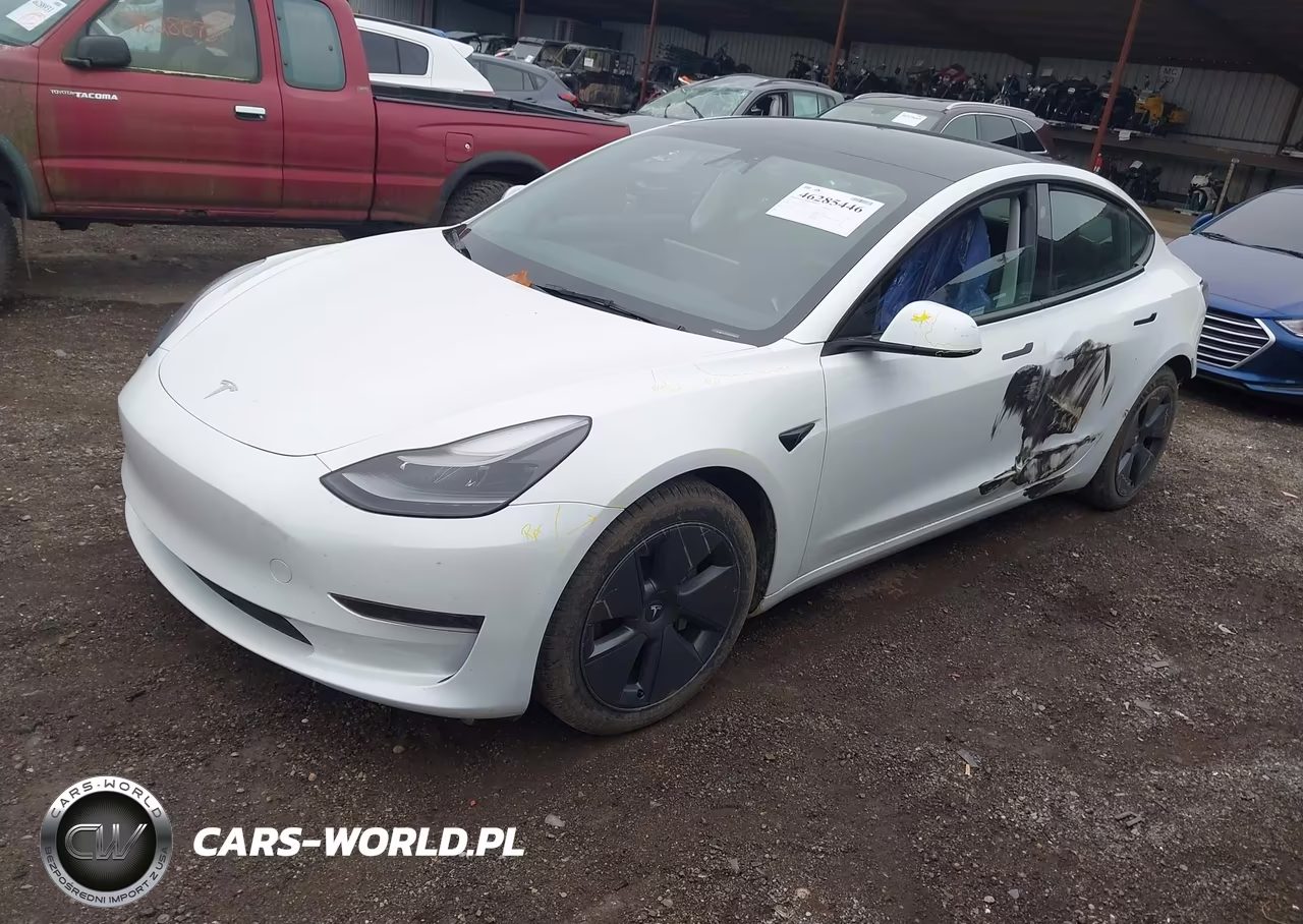 2023 Tesla Model 3 Rear-Wheel Drive VIN:5YJ3E1EA8PF606275 - 2