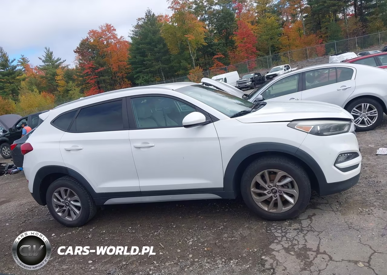 2018 Hyundai Tucson Sel VIN:KM8J3CA49JU609270 - 13