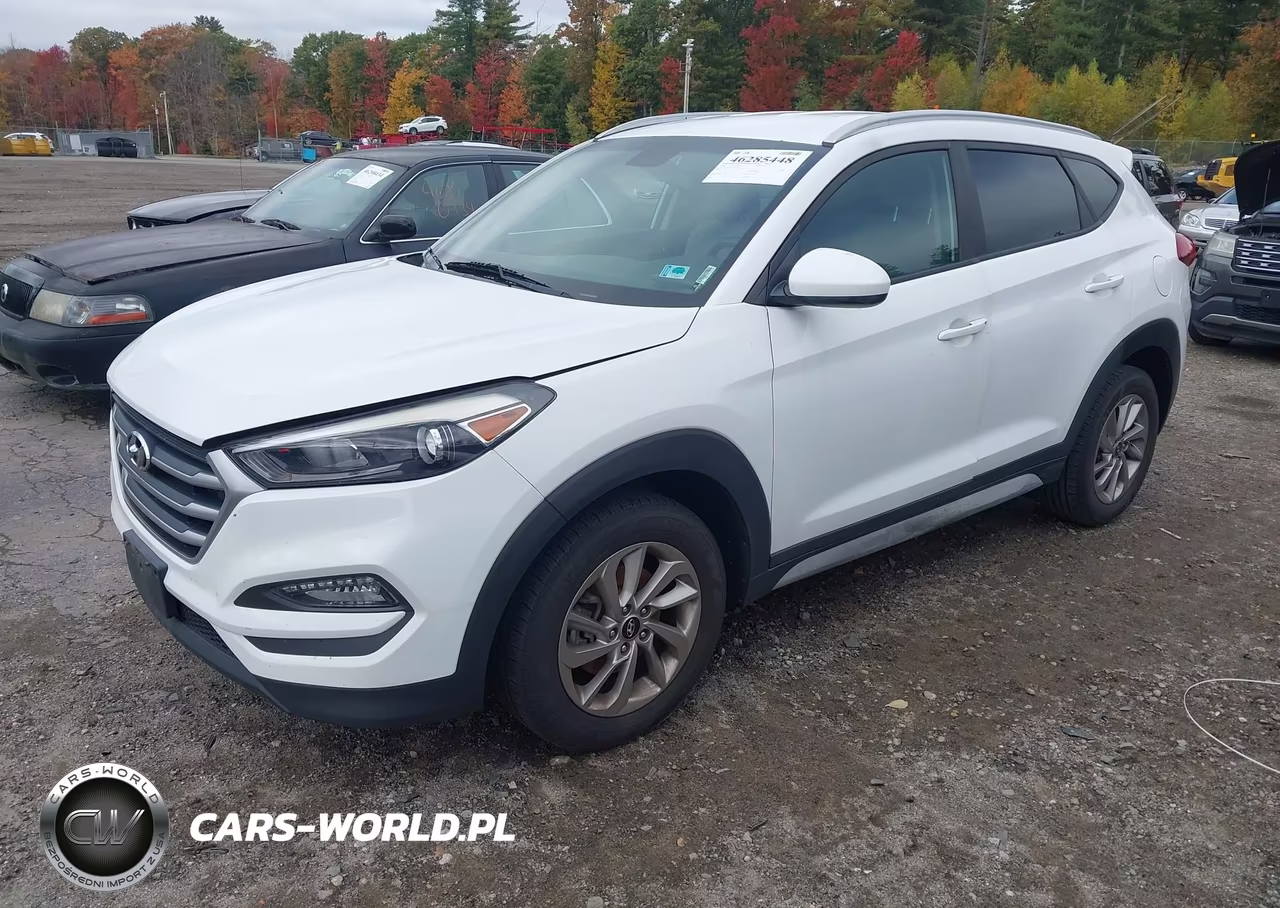 2018 Hyundai Tucson Sel VIN:KM8J3CA49JU609270 - 2