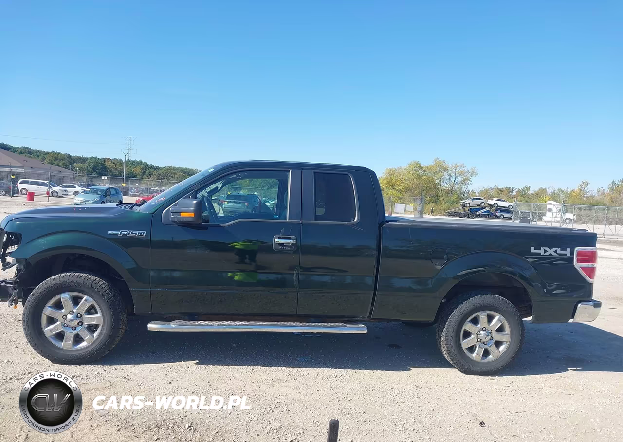 2013 Ford F-150 Xlt VIN:1FTFX1EF9DFC04405 - 14
