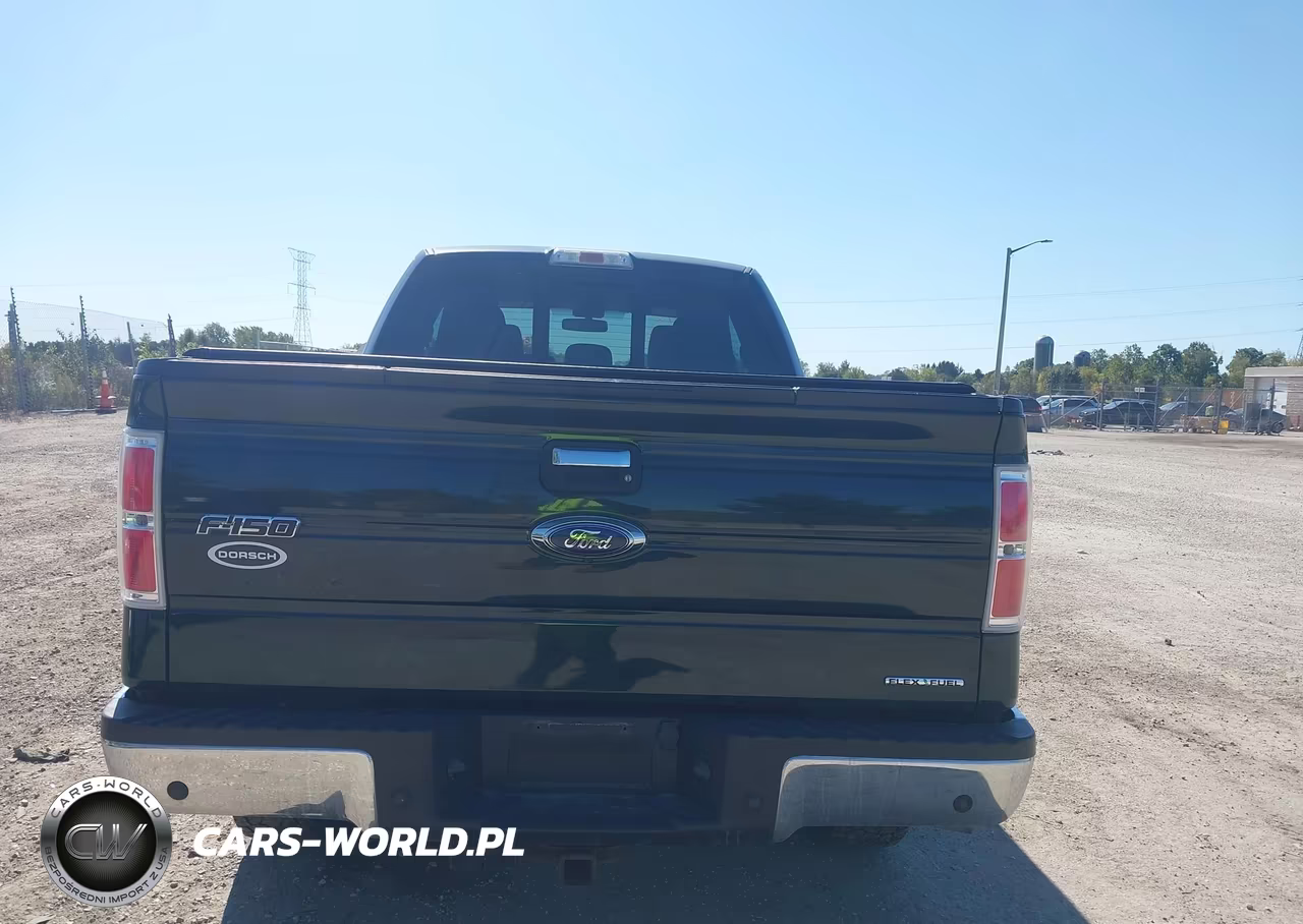2013 Ford F-150 Xlt VIN:1FTFX1EF9DFC04405 - 16