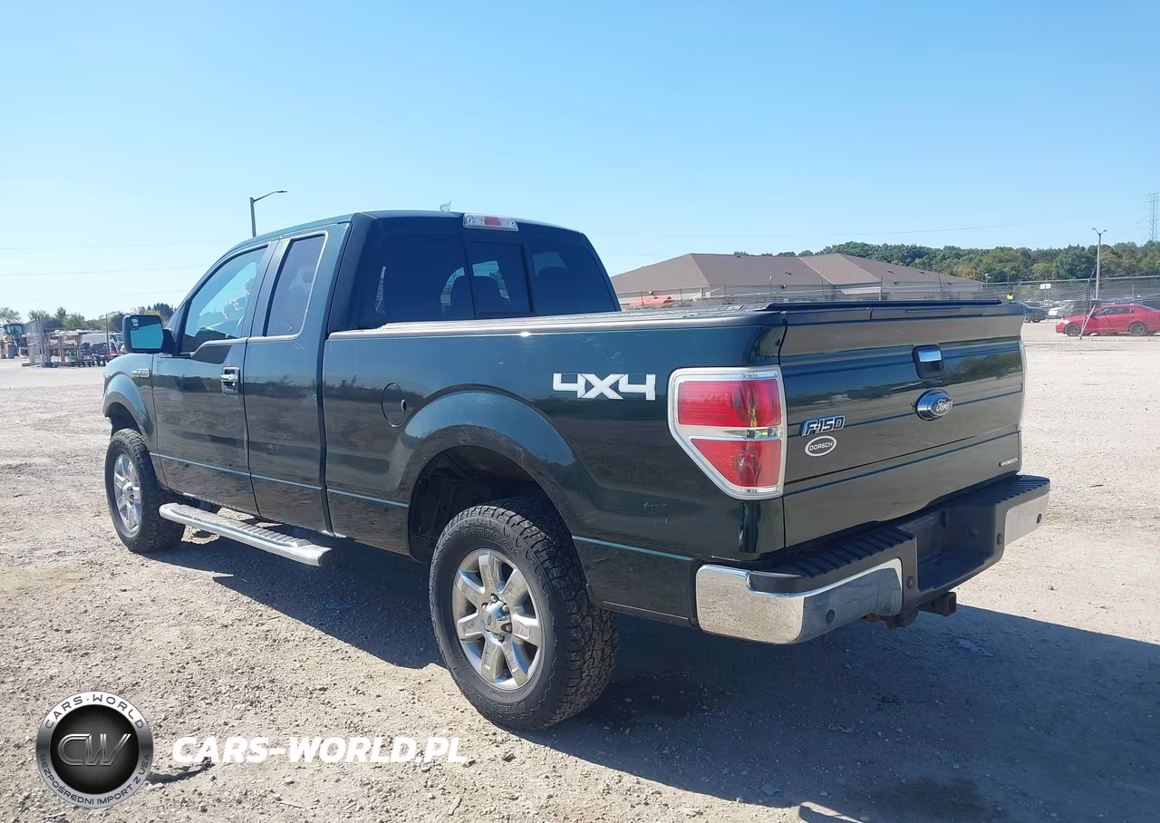 2013 Ford F-150 Xlt VIN:1FTFX1EF9DFC04405 - 3