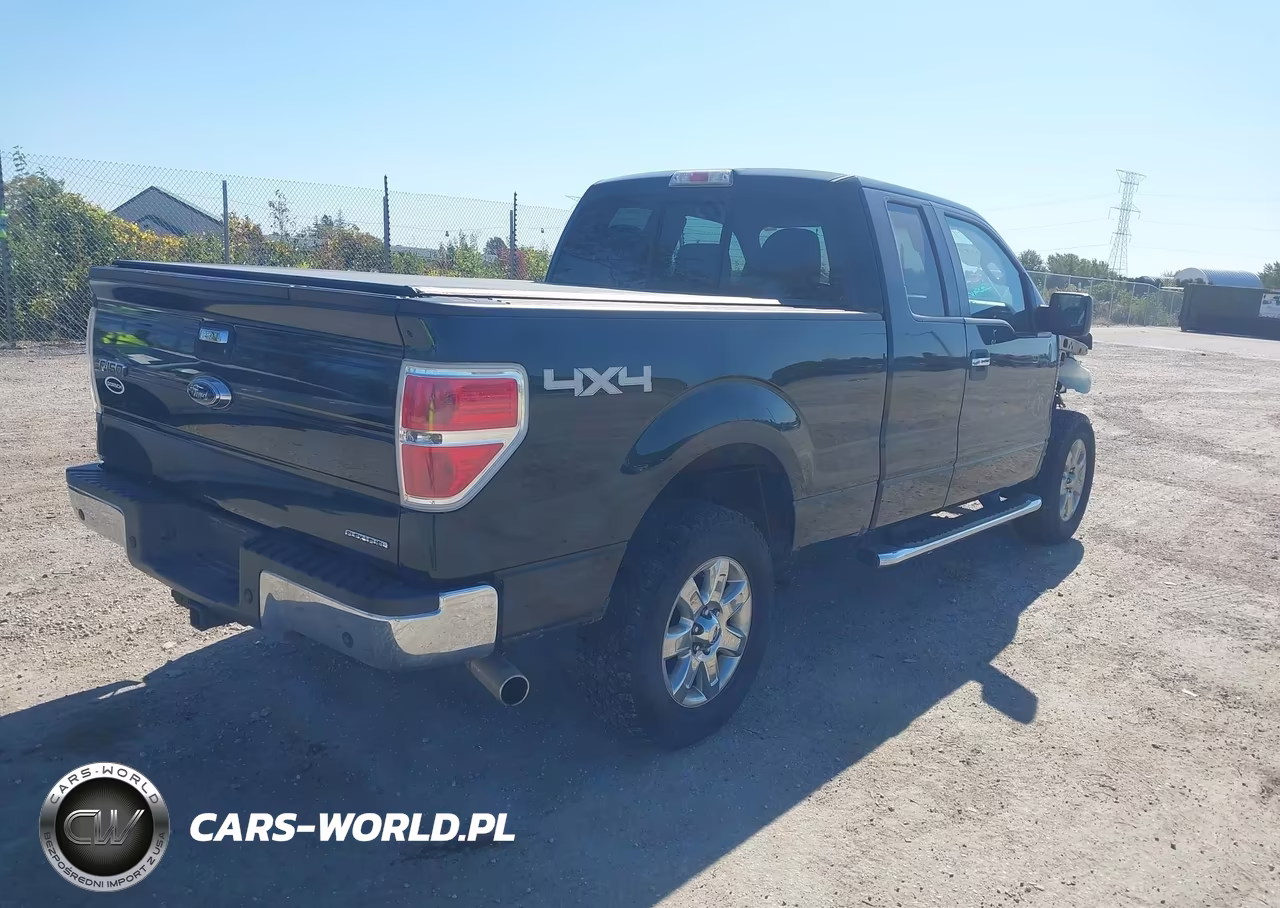 2013 Ford F-150 Xlt VIN:1FTFX1EF9DFC04405 - 4