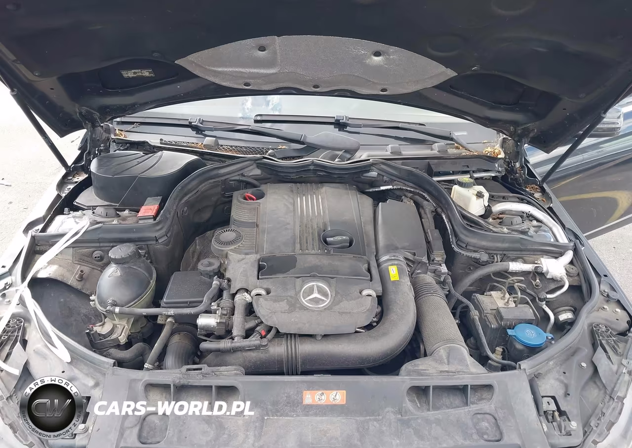 2012 Mercedes-Benz C 250 Luxury-Sport VIN:WDDGF4HB0CR201610 - 10