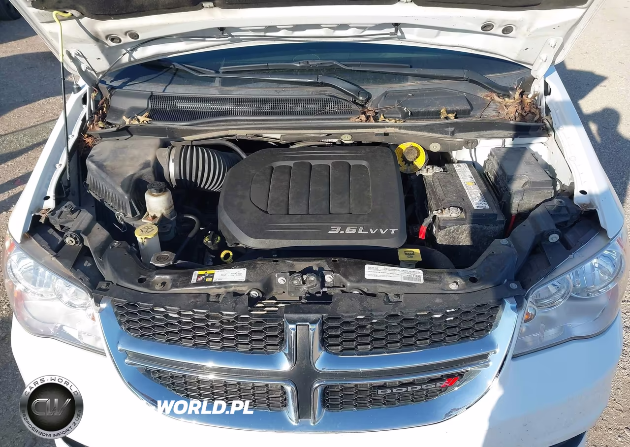 2015 Dodge Grand Caravan Se VIN:2C4RDGBG0FR607206 - 10