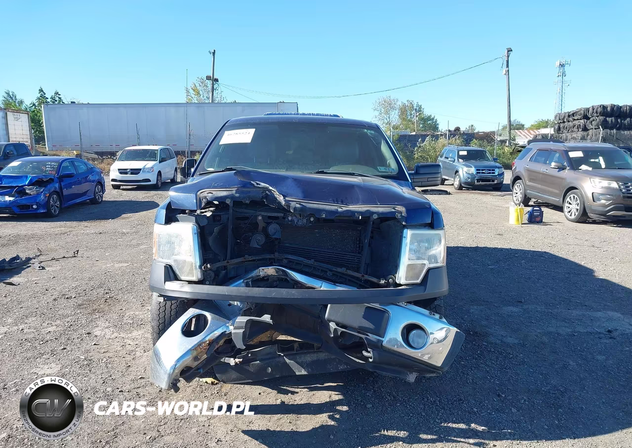 2012 Ford F-150 Xl VIN:1FTFW1EF3CFB57504 - 12