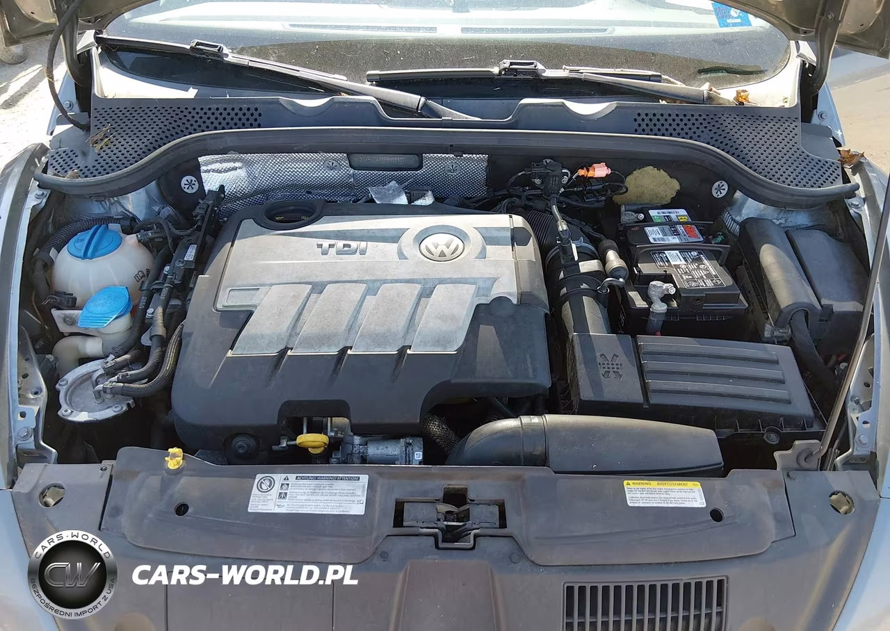 2014 Volkswagen Beetle 2.0L Tdi VIN:3VWRL7AT1EM638937 - 10