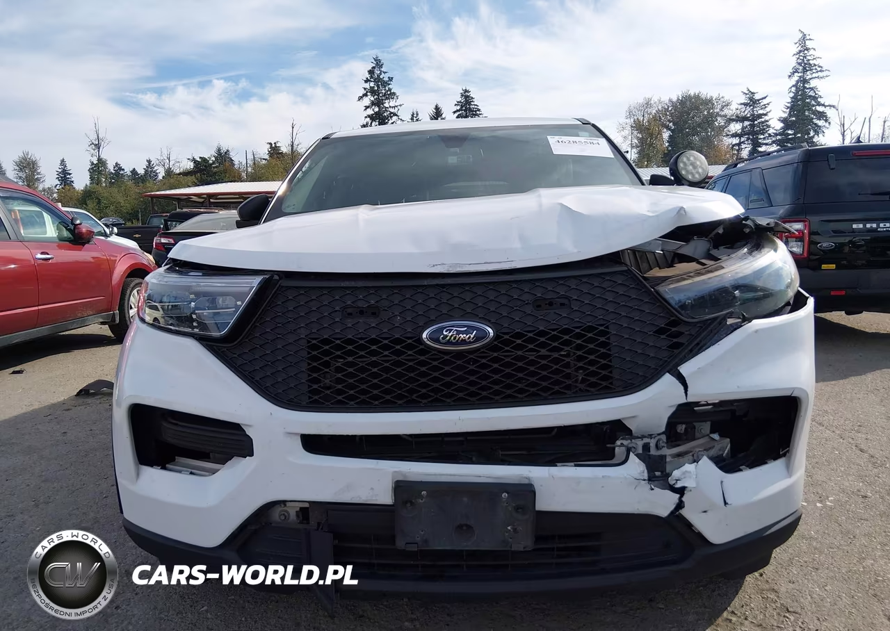2020 Ford Police Interceptor Utility VIN:1FM5K8AB5LGA18600 - 12