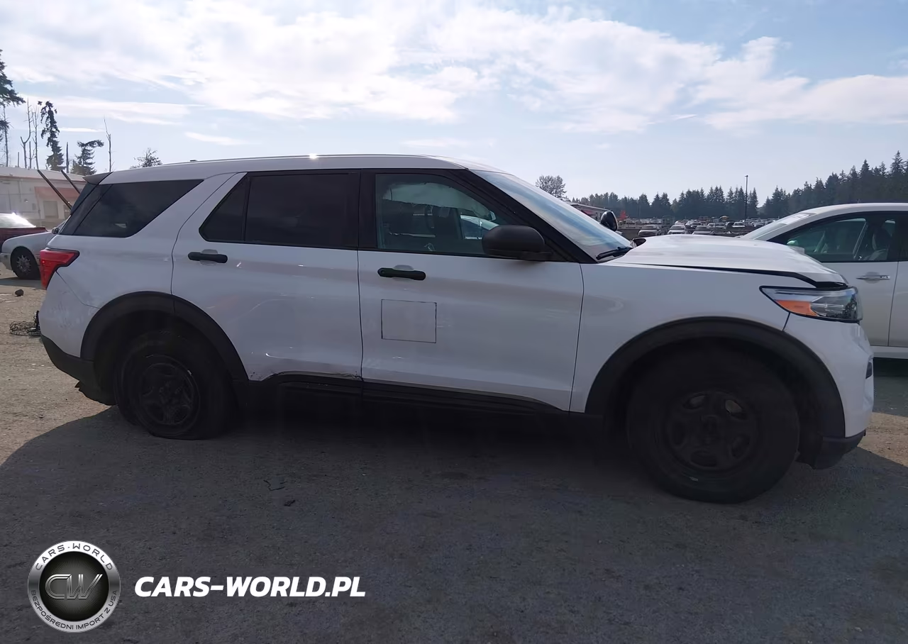 2020 Ford Police Interceptor Utility VIN:1FM5K8AB5LGA18600 - 13