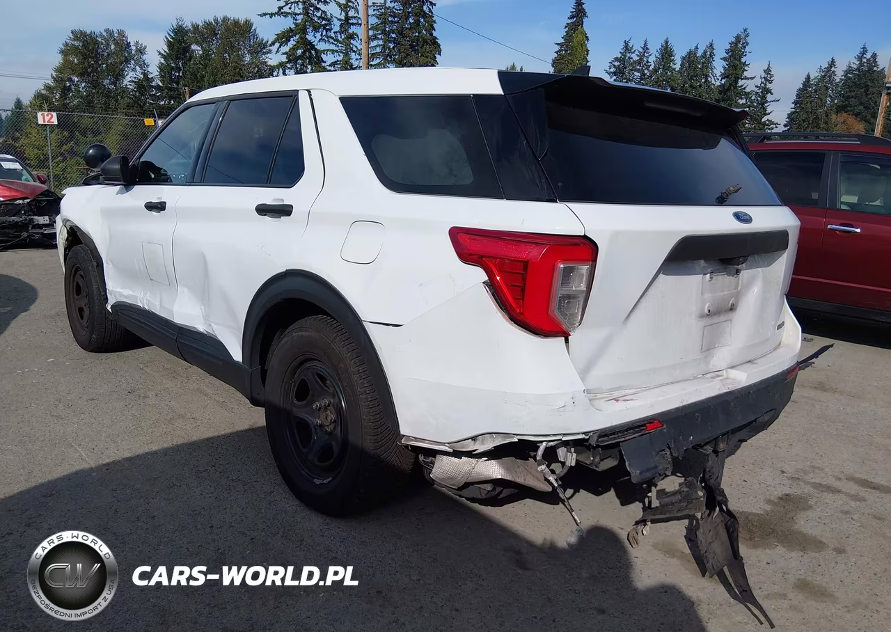 2020 Ford Police Interceptor Utility VIN:1FM5K8AB5LGA18600 - 3