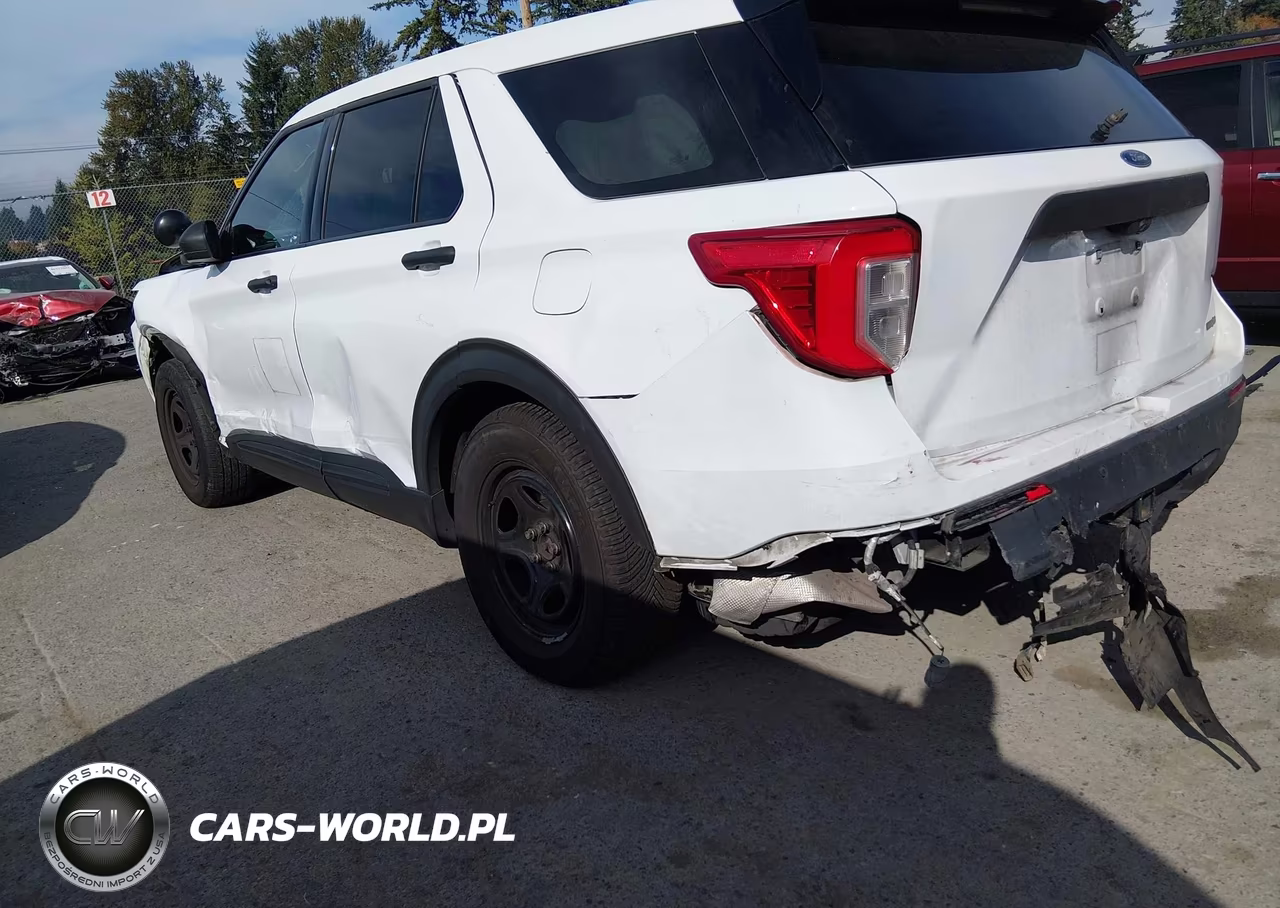 2020 Ford Police Interceptor Utility VIN:1FM5K8AB5LGA18600 - 6