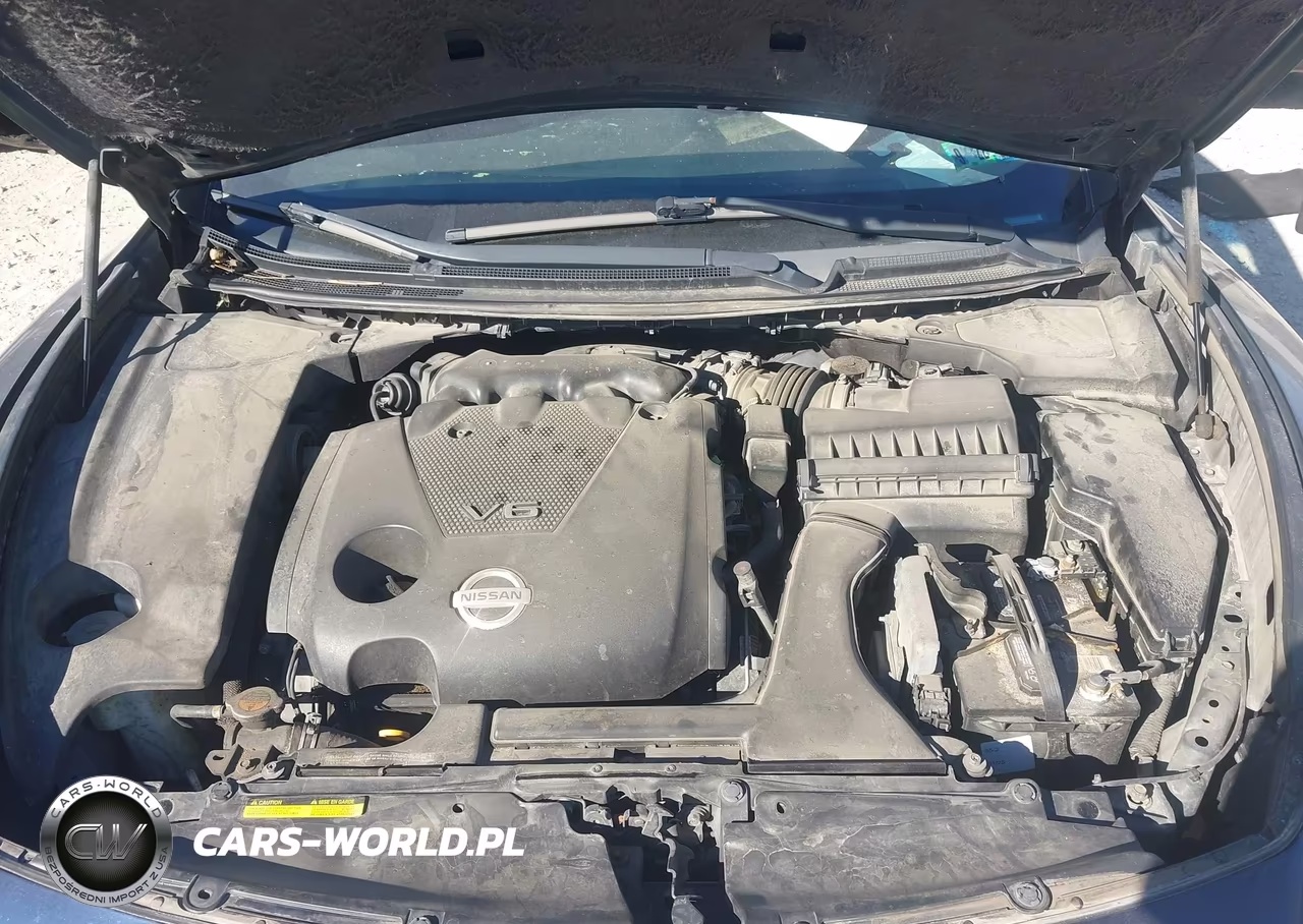 2010 Nissan Maxima 3.5 S VIN:1N4AA5AP0AC856463 - 10