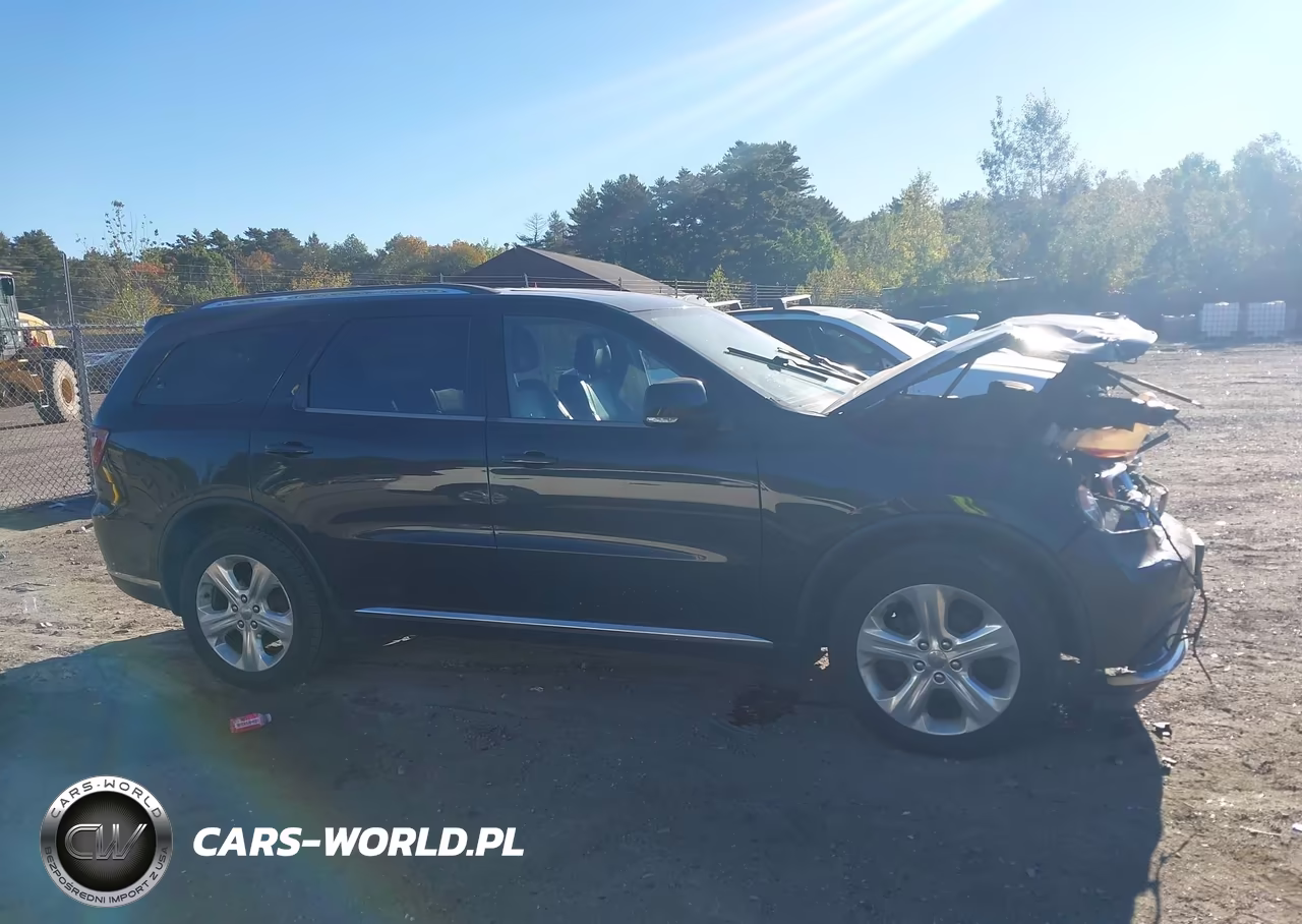 2014 Dodge Durango Limited VIN:1C4RDJDG8EC973318 - 12