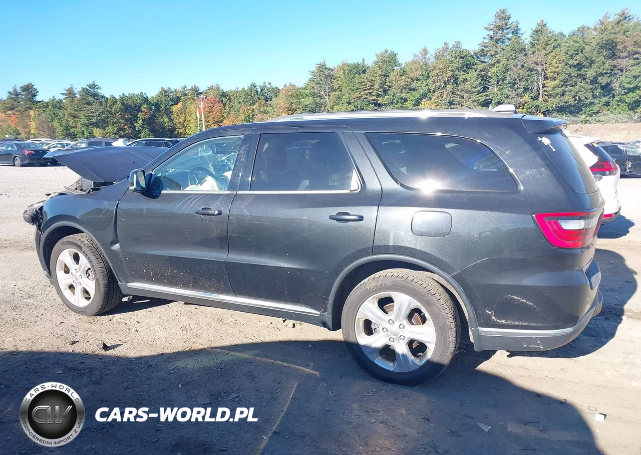 2014 Dodge Durango Limited VIN:1C4RDJDG8EC973318 - 13