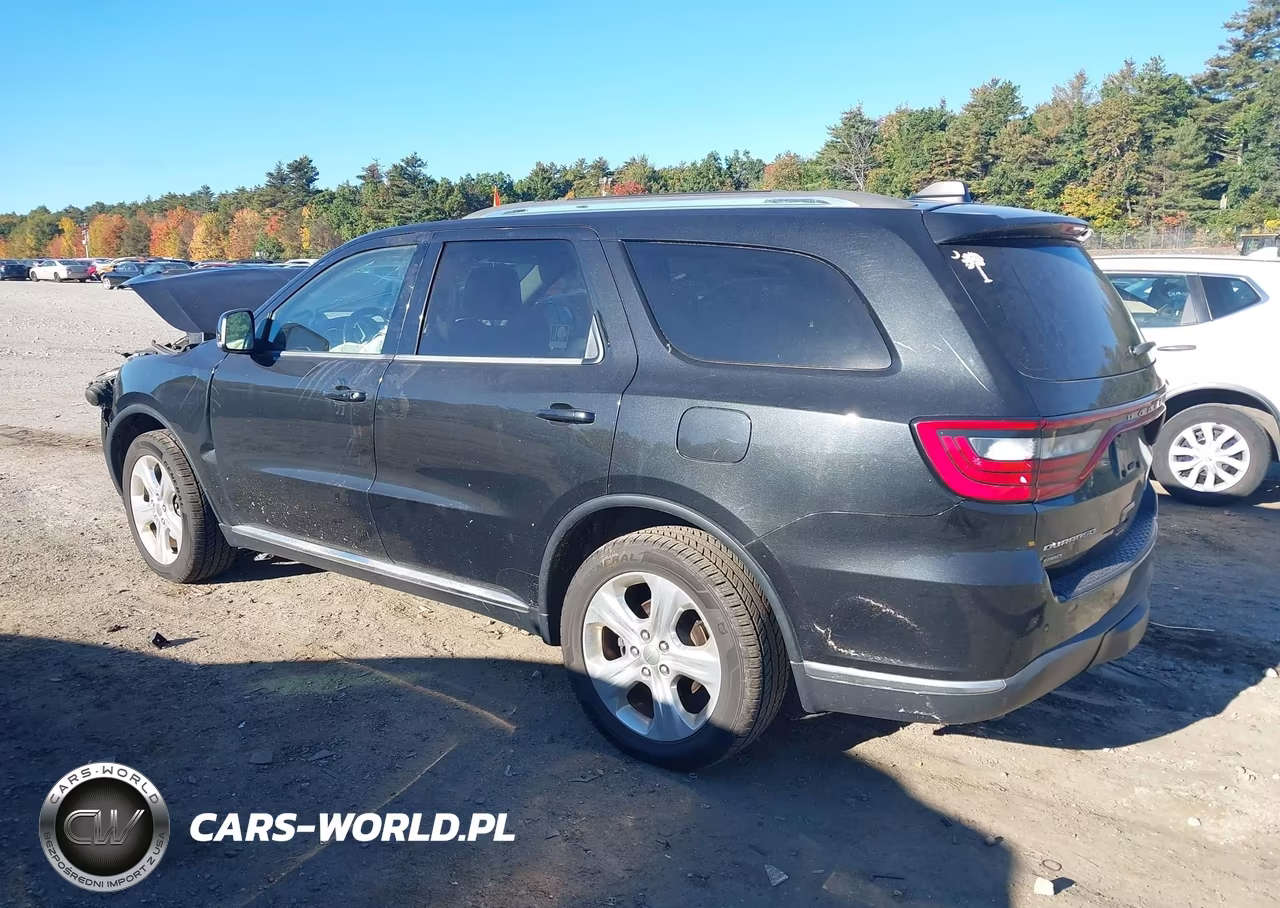 2014 Dodge Durango Limited VIN:1C4RDJDG8EC973318 - 3