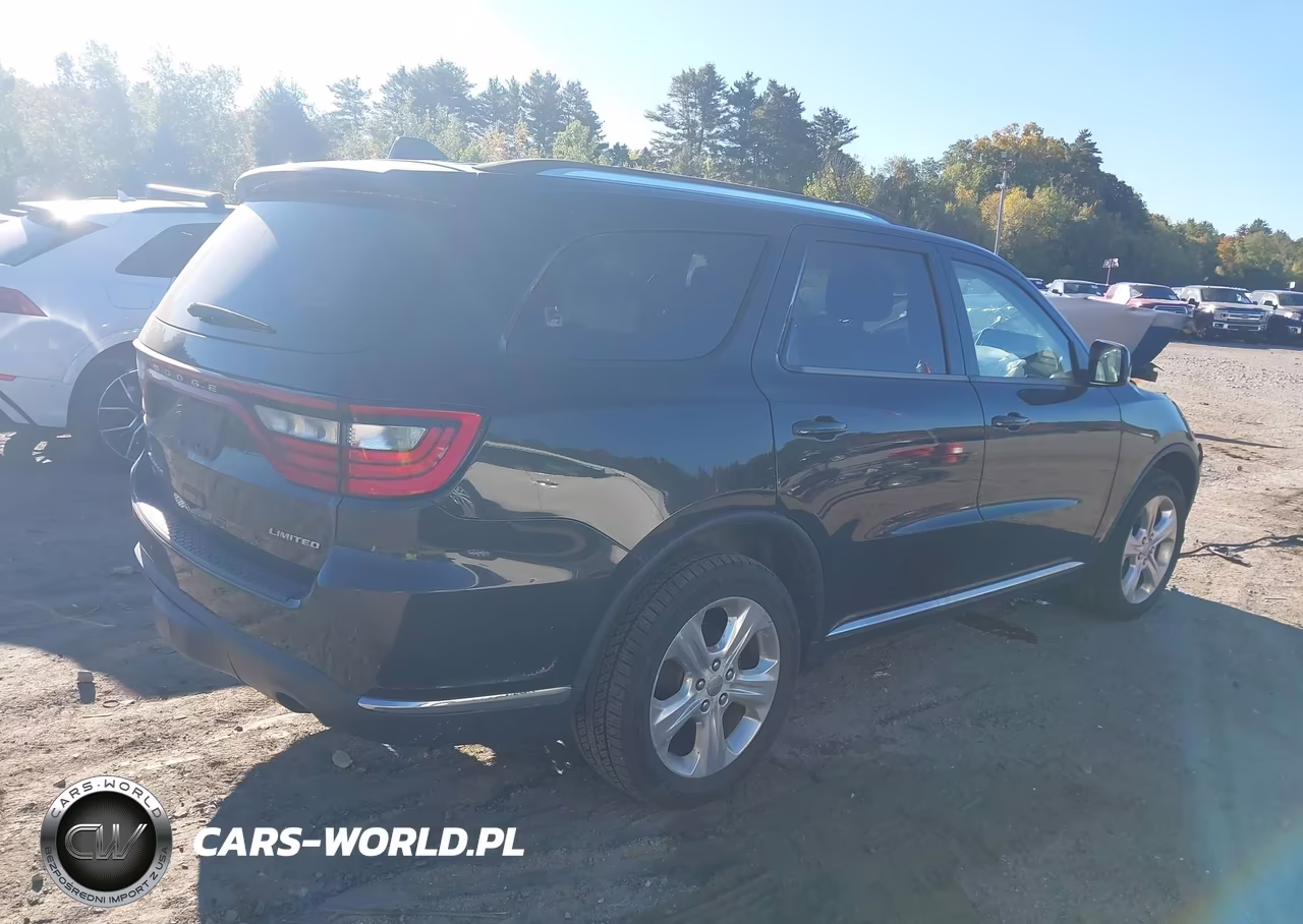 2014 Dodge Durango Limited VIN:1C4RDJDG8EC973318 - 4