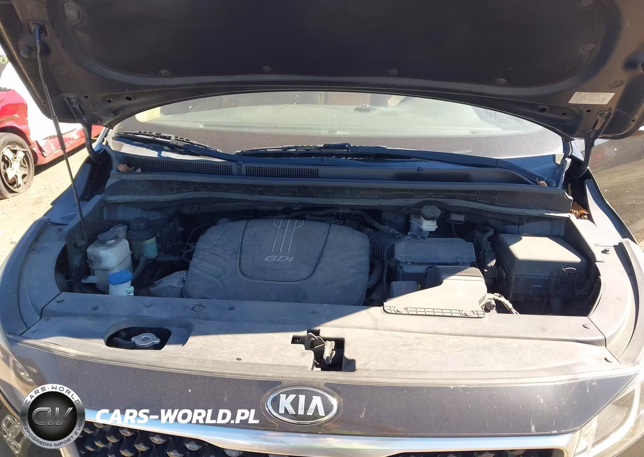 2016 Kia Sedona Lx VIN:KNDMB5C17G6155939 - 10
