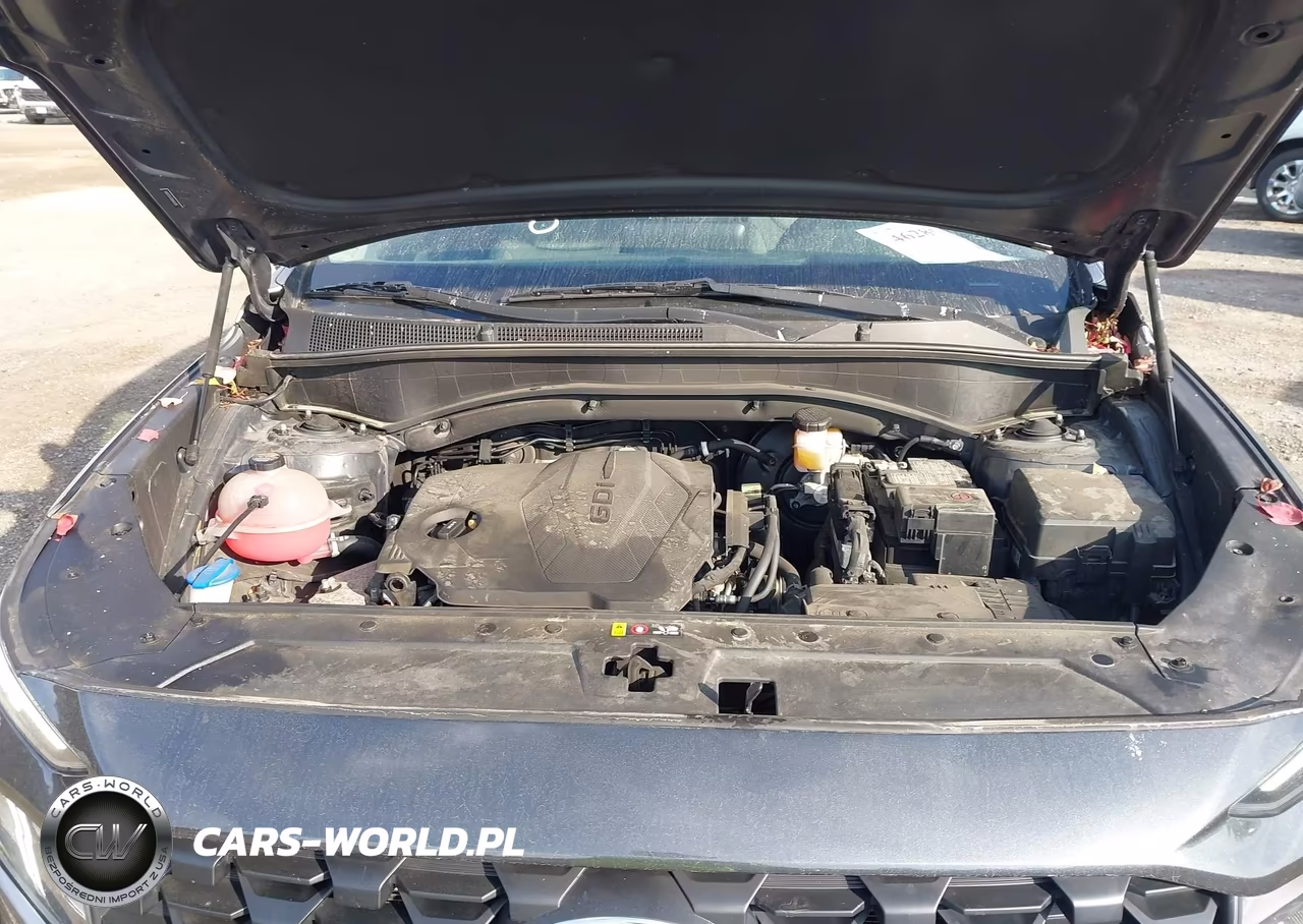 2021 Hyundai Santa Fe Se VIN:5NMS1DAJXMH356983 - 10