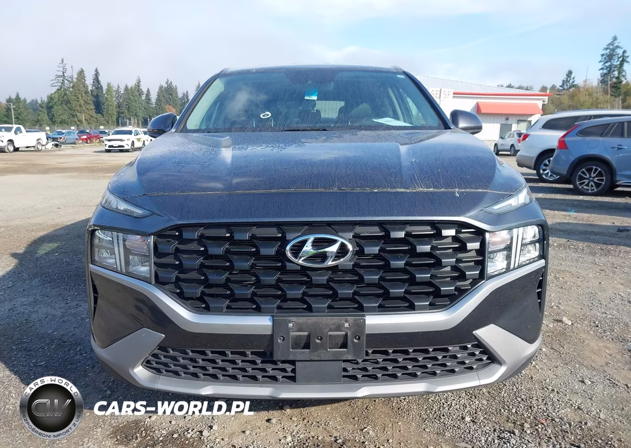 2021 Hyundai Santa Fe Se VIN:5NMS1DAJXMH356983 - 12