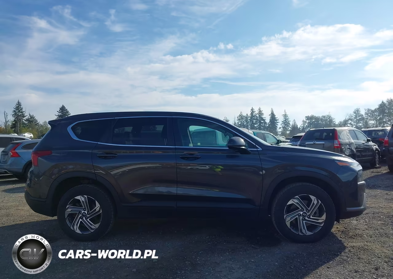 2021 Hyundai Santa Fe Se VIN:5NMS1DAJXMH356983 - 13