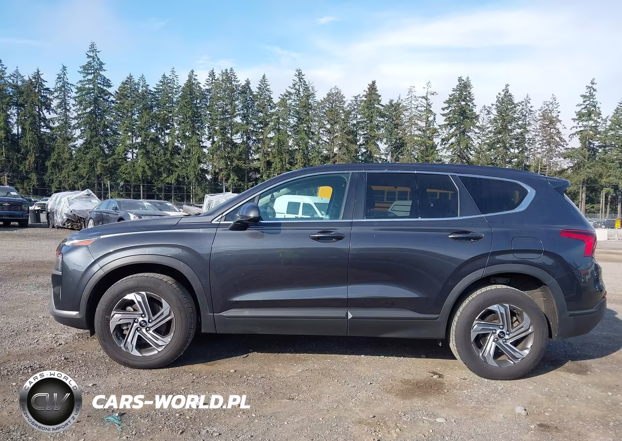 2021 Hyundai Santa Fe Se VIN:5NMS1DAJXMH356983 - 14
