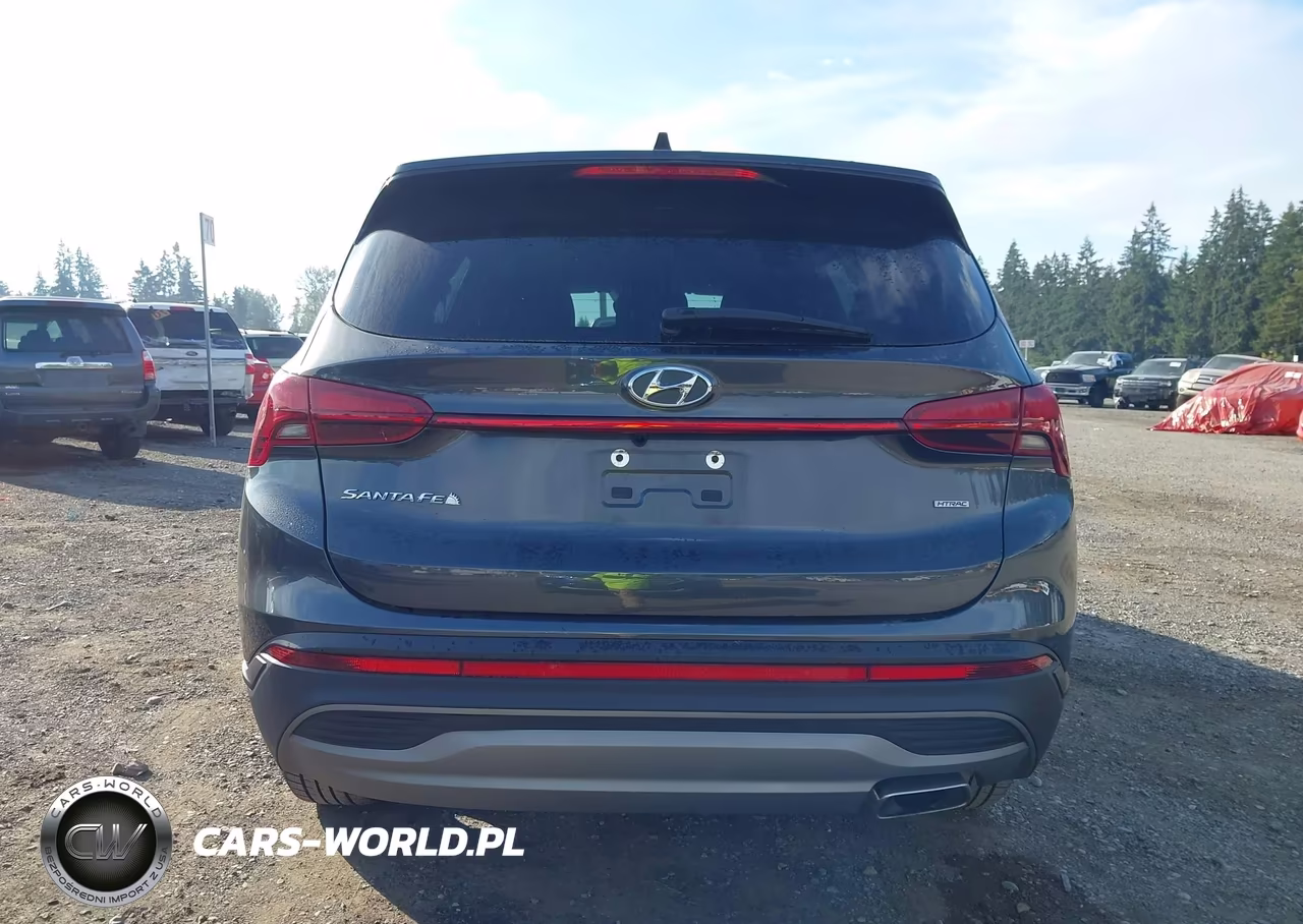 2021 Hyundai Santa Fe Se VIN:5NMS1DAJXMH356983 - 16