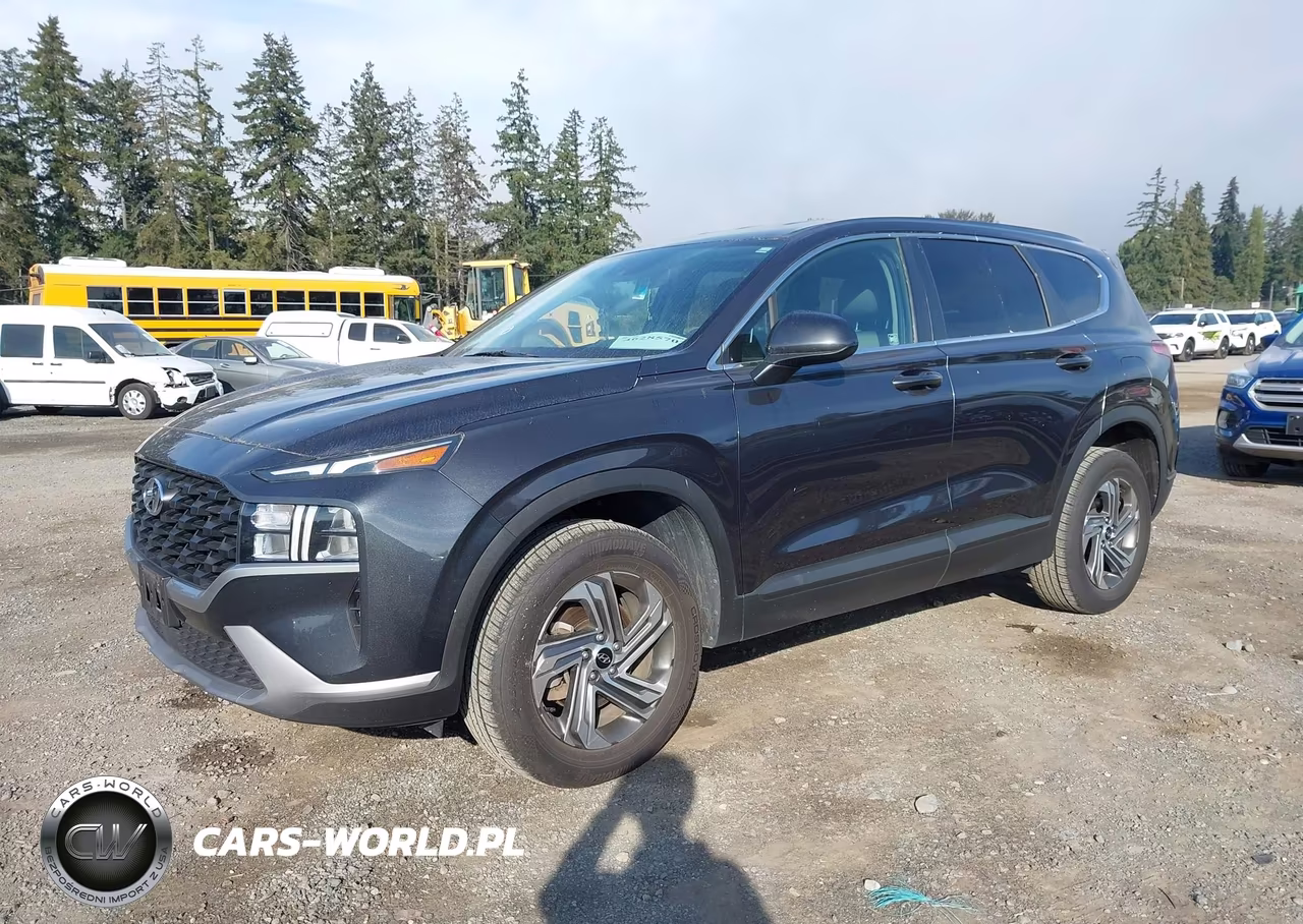 2021 Hyundai Santa Fe Se VIN:5NMS1DAJXMH356983 - 2