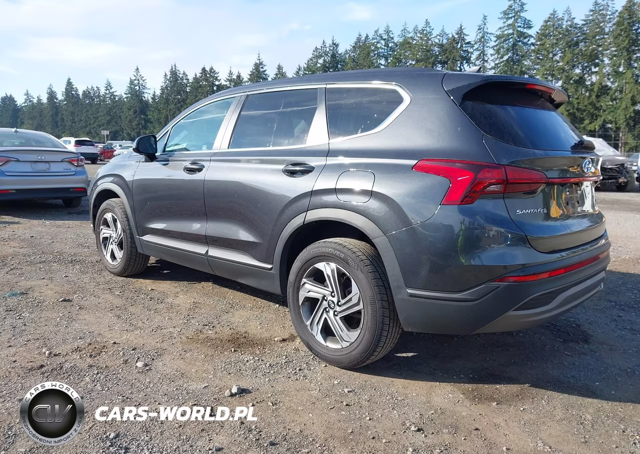 2021 Hyundai Santa Fe Se VIN:5NMS1DAJXMH356983 - 3