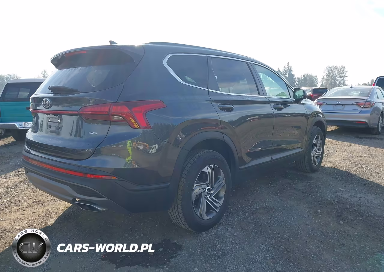 2021 Hyundai Santa Fe Se VIN:5NMS1DAJXMH356983 - 4