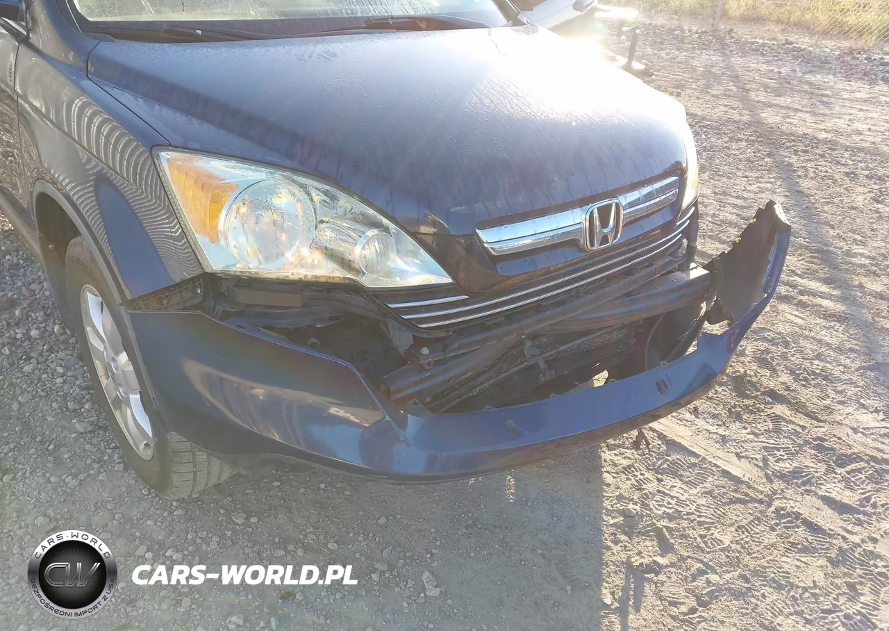 2009 Honda Cr-V Ex-L VIN:5J6RE48769L068228 - 12