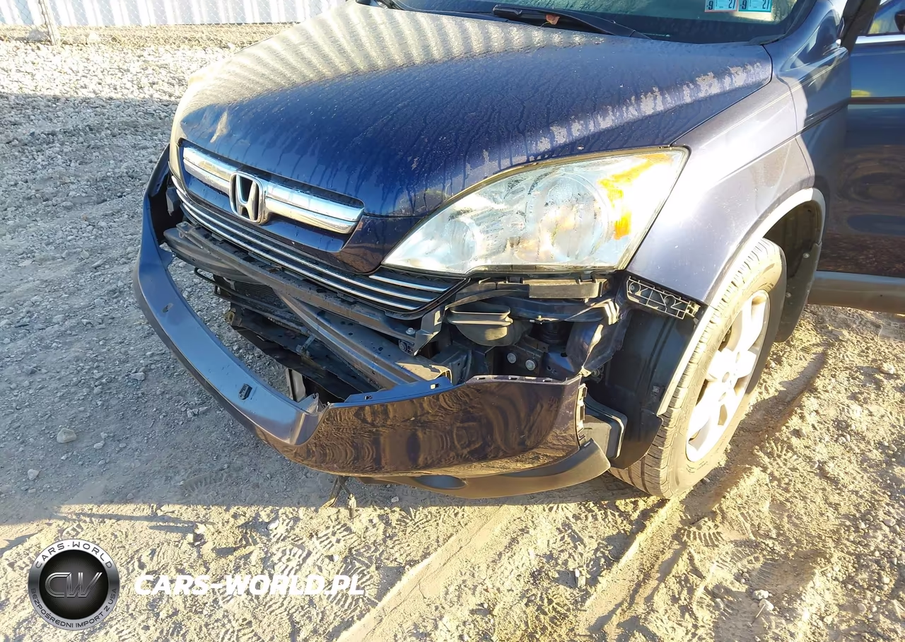 2009 Honda Cr-V Ex-L VIN:5J6RE48769L068228 - 6