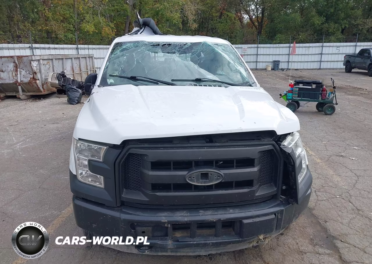 2015 Ford F-150 Xl VIN:1FTEW1EG0FFC28733 - 12