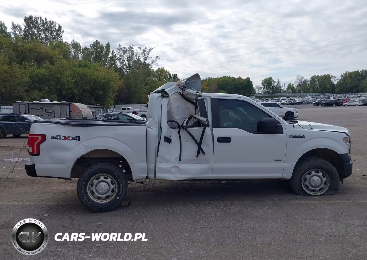 2015 Ford F-150 Xl VIN:1FTEW1EG0FFC28733 - 13