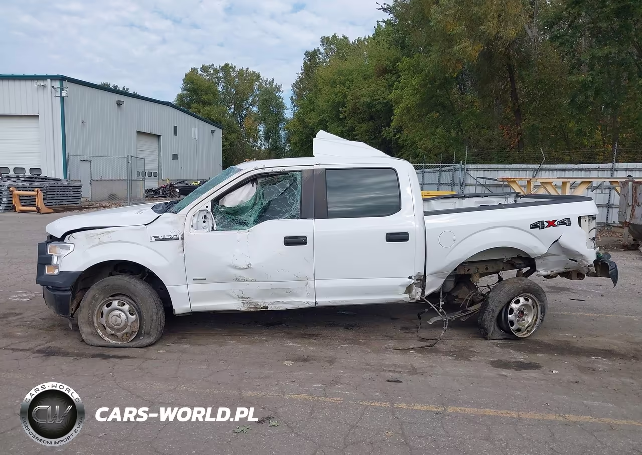 2015 Ford F-150 Xl VIN:1FTEW1EG0FFC28733 - 14