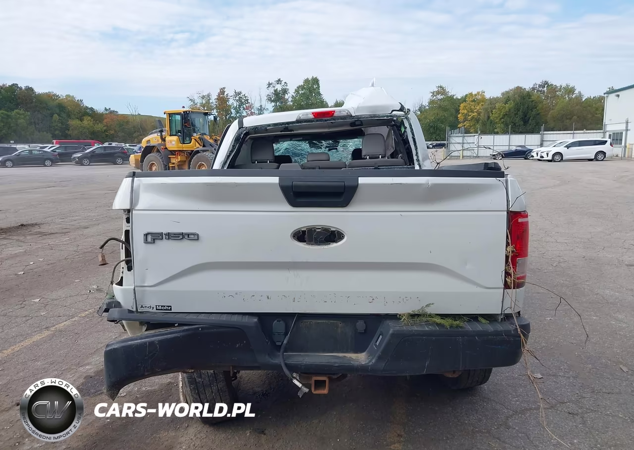 2015 Ford F-150 Xl VIN:1FTEW1EG0FFC28733 - 16