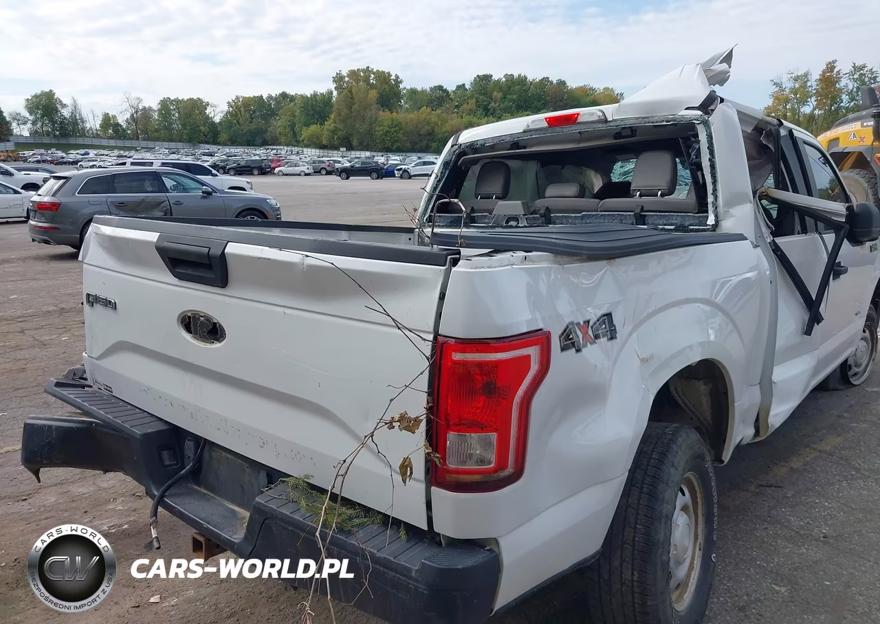 2015 Ford F-150 Xl VIN:1FTEW1EG0FFC28733 - 17