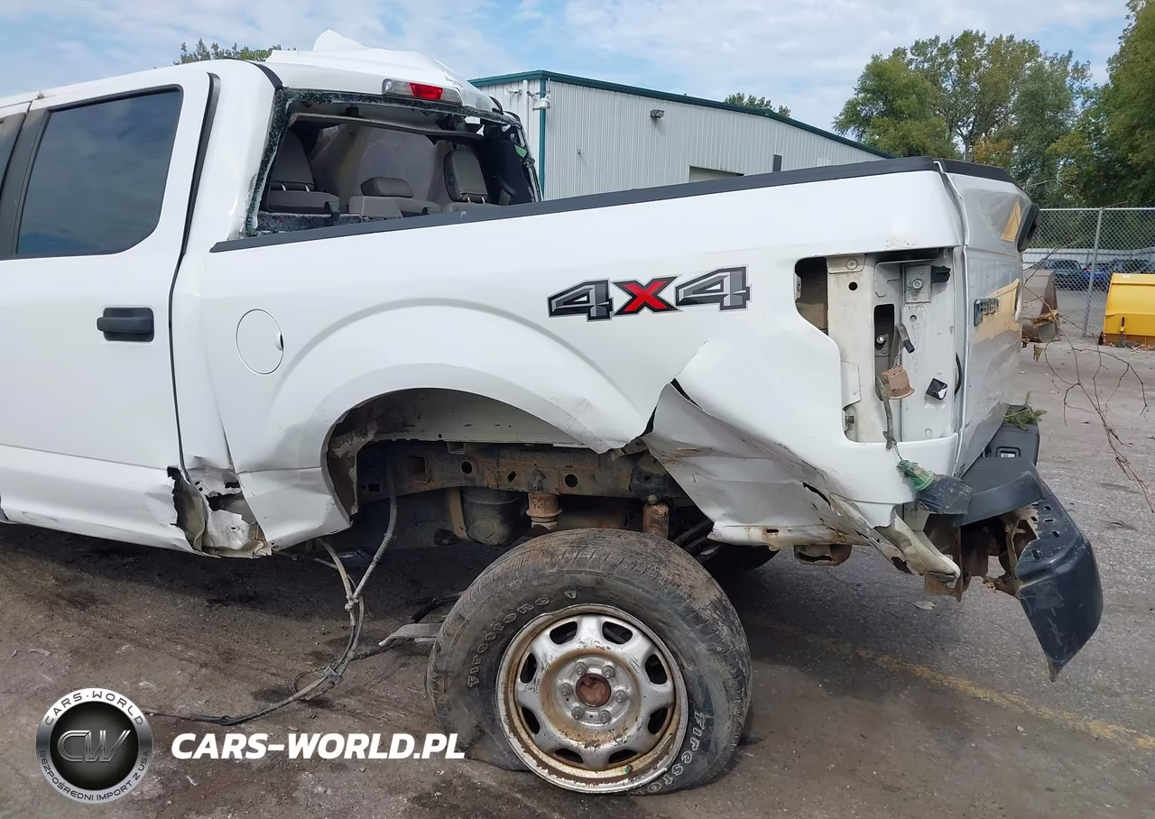 2015 Ford F-150 Xl VIN:1FTEW1EG0FFC28733 - 18