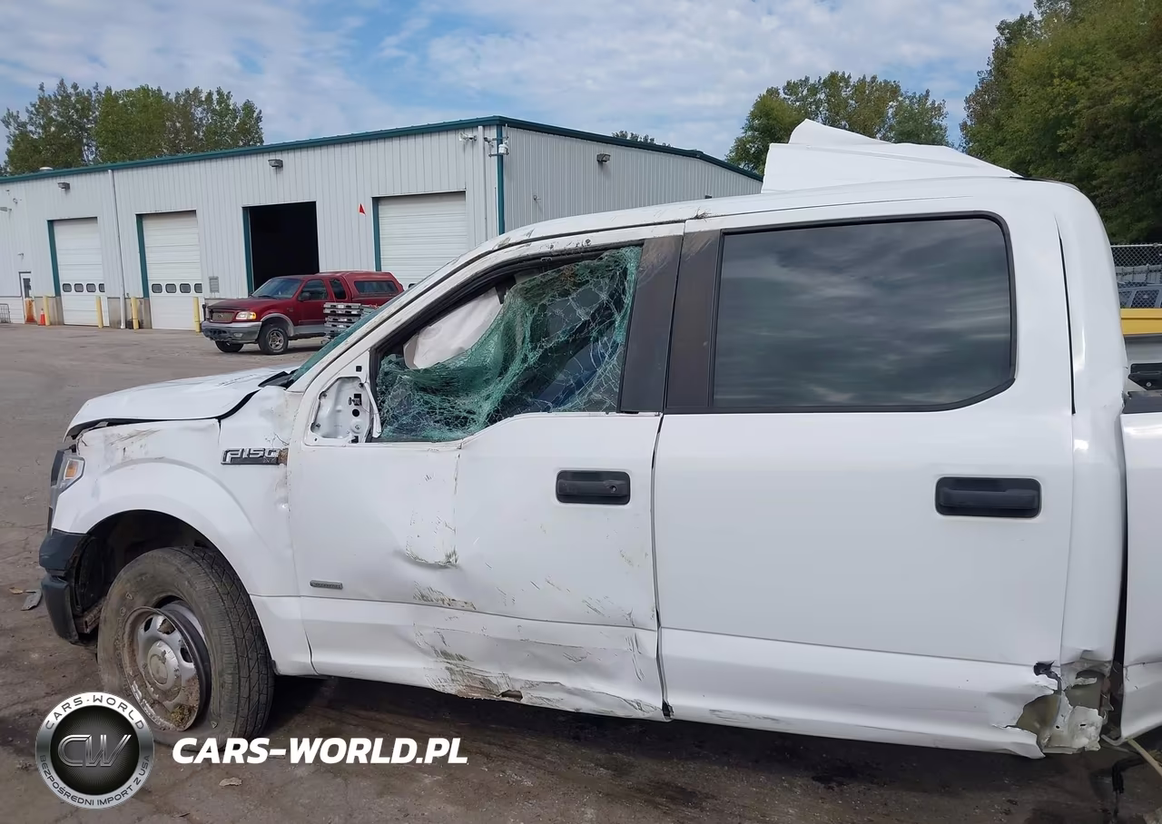 2015 Ford F-150 Xl VIN:1FTEW1EG0FFC28733 - 19