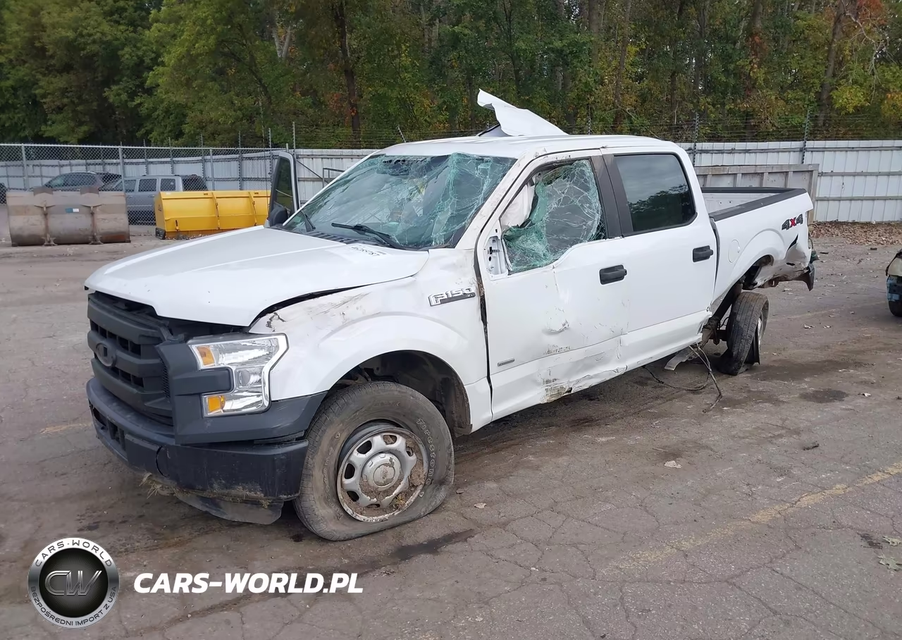 2015 Ford F-150 Xl VIN:1FTEW1EG0FFC28733 - 2