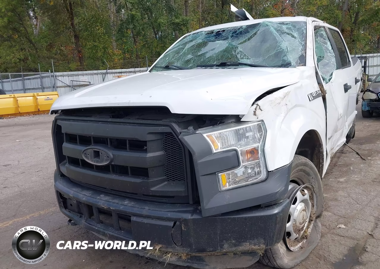 2015 Ford F-150 Xl VIN:1FTEW1EG0FFC28733 - 20